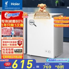 海尔（Haier）100升低霜小冰柜家用商用 冷藏柜冷